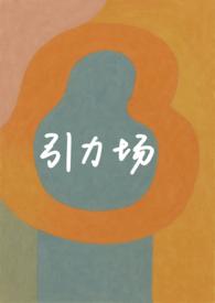 引力场方程