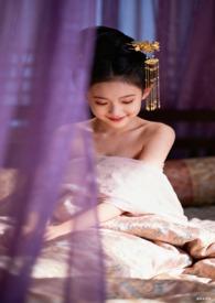 满朝文武皆为帐中客作者瑰沐之夏