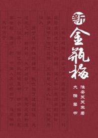 新金 瓶 梅 1国语