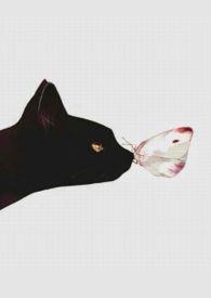 人间好时节的上一句