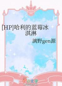 hp 哈利bg