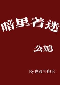 暗里着迷免费阅读