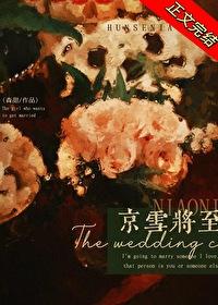 京雪将至by薄宴西笔趣阁