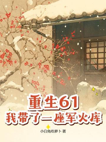 我带了一座军火库 翻译